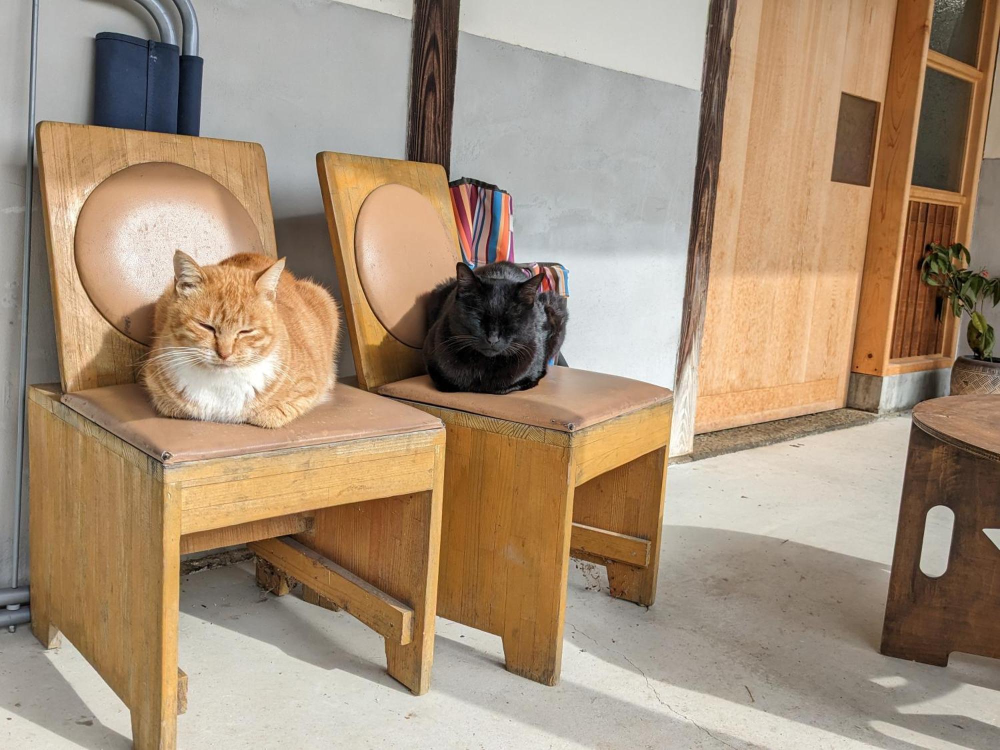 猫と図書館のある宿 草地家 Kusachike Minamiawaji Exterior foto